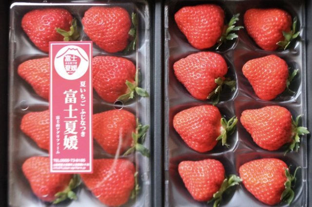 【直売所】富士山アグリファーム