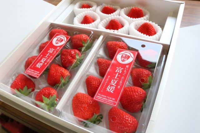 【直売所】富士山アグリファーム