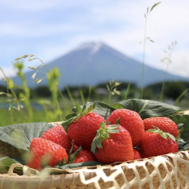 富士山アグリファーム