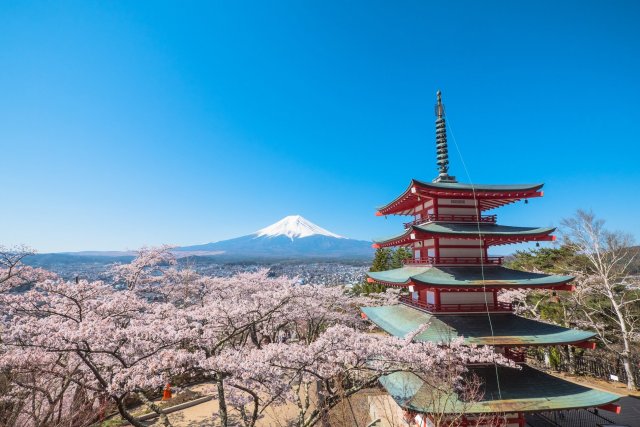 第10回　新倉山浅間公園　桜まつり