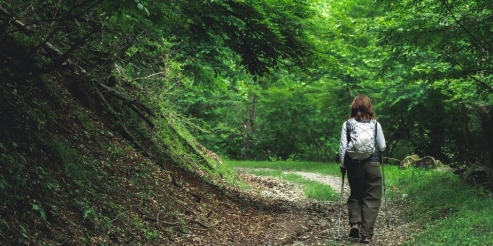 杓子山を満喫するコース | 絶景・温泉・美食を楽しむ大人の休日（1日）