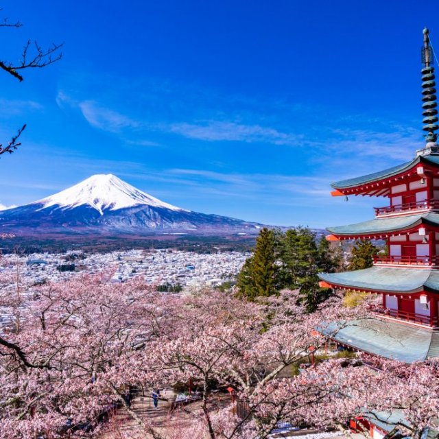 Limited Springtime Course!  Cherry Blossom Season in Fujiyoshida