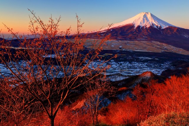杓子山