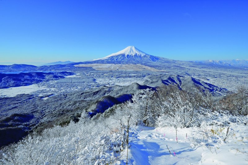 一面の銀世界を望む