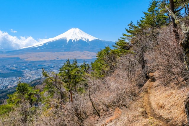杓子山