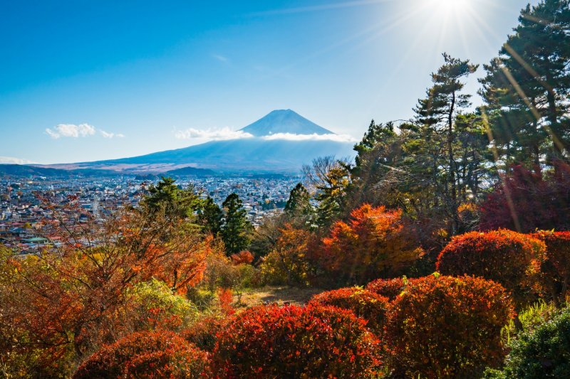 ＿真っ赤な紅葉が彩る秋も魅力的