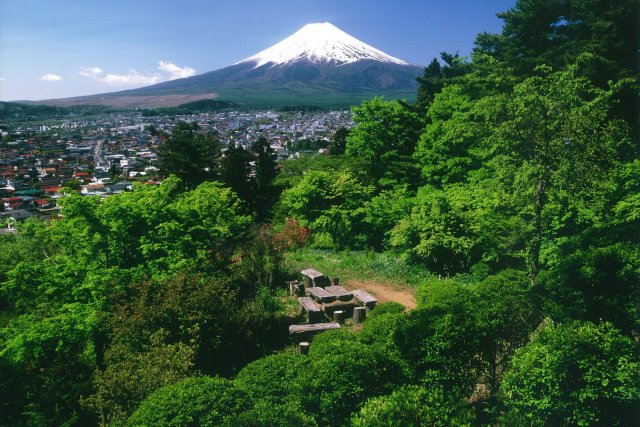 Fujimi Kotoku Koen Park