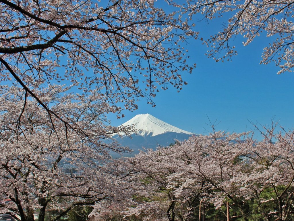 富士見孝徳公園