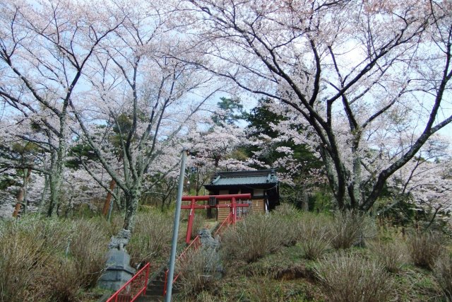 Fujimi Kotoku Koen Park