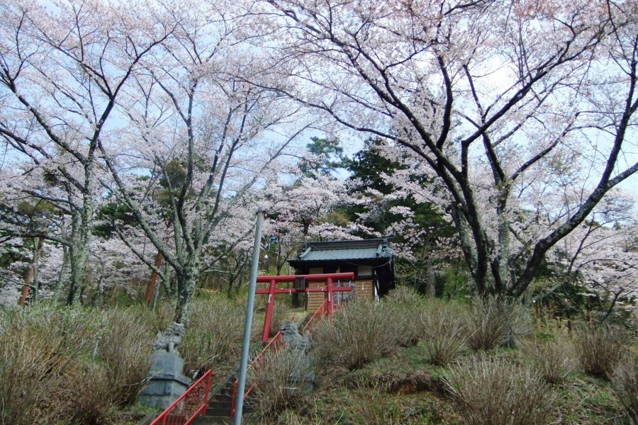 富士見孝徳公園｜富士吉田の観光スポット・体験｜【公式】富士吉田市 