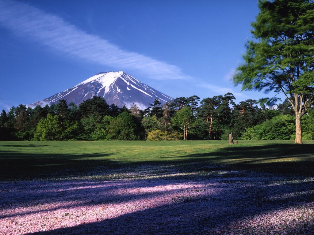 諏訪の森自然公園（富士パインズパーク）