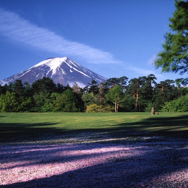 Suwanomori Shizen Koen Park (Fuji Pines Park)