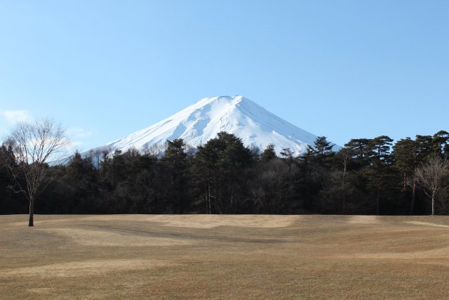 諏訪之森自然公園（富士松樹公園）