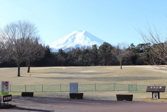 諏訪之森自然公園（富士松樹公園）