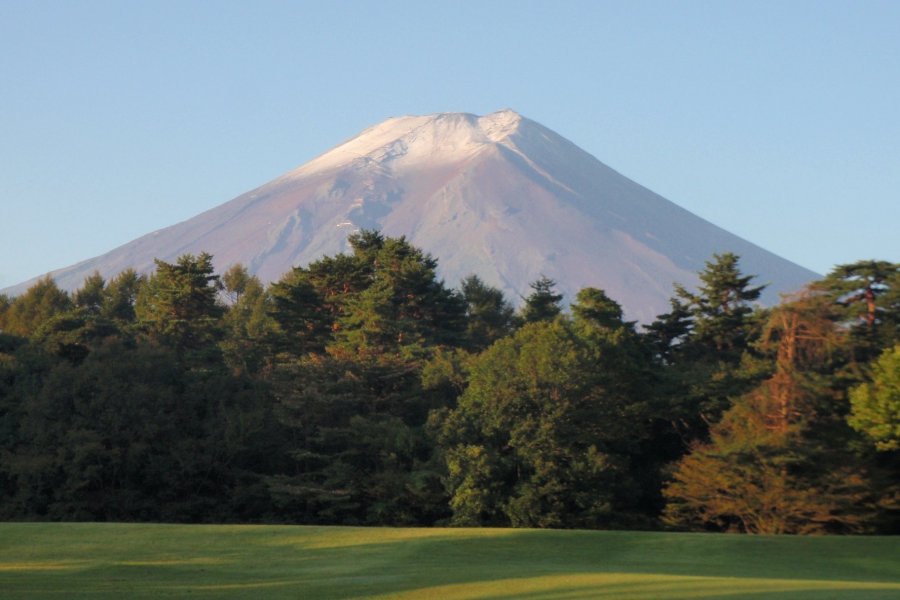 諏訪の森自然公園 富士パインズパーク 富士吉田の観光スポット 体験 公式 富士吉田市観光ガイド