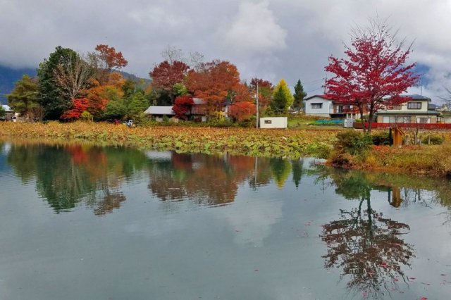 明見湖（はす池）   