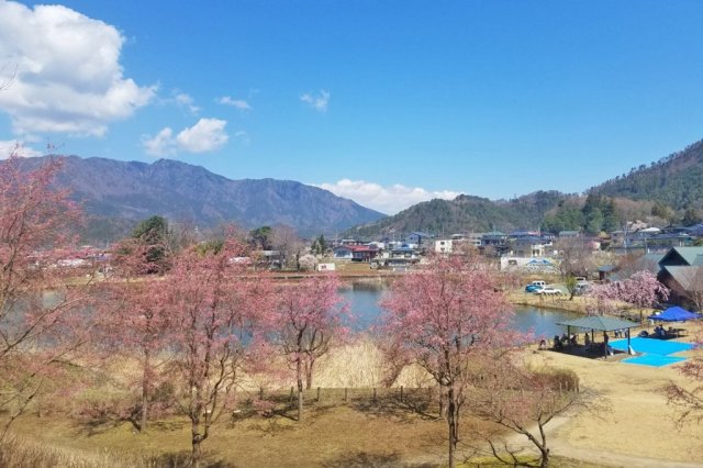 明見湖（はす池）   
