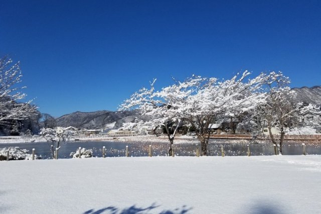 明見湖（はす池）   