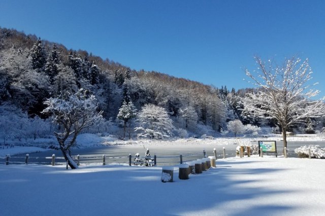明見湖（はす池）   