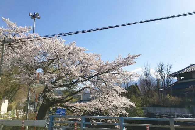 Katsuragawa Kasen Koen Park