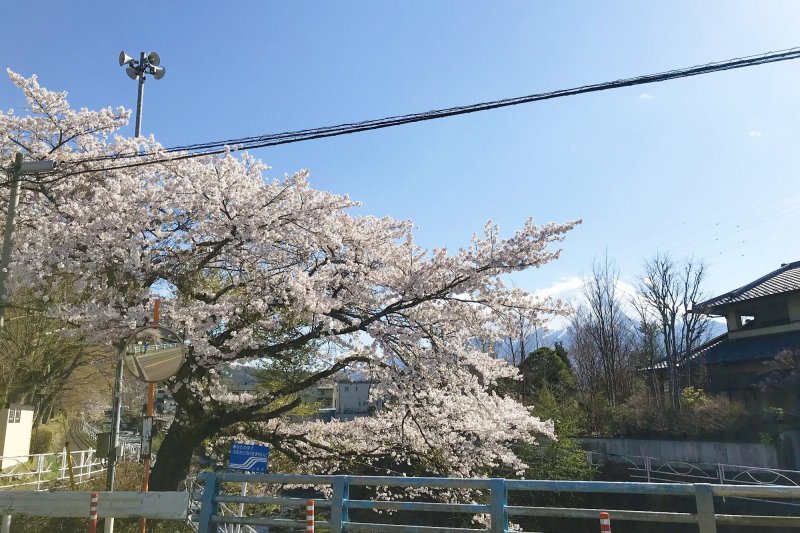 天気がいい日には富士山も顔を出す