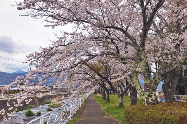 Katsuragawa Kasen Koen Park