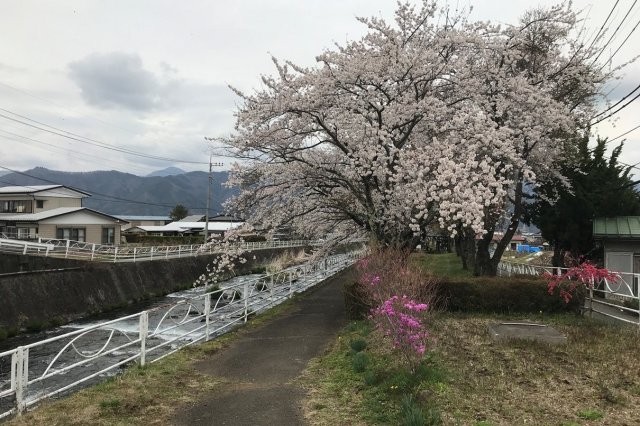 桂川河川公園