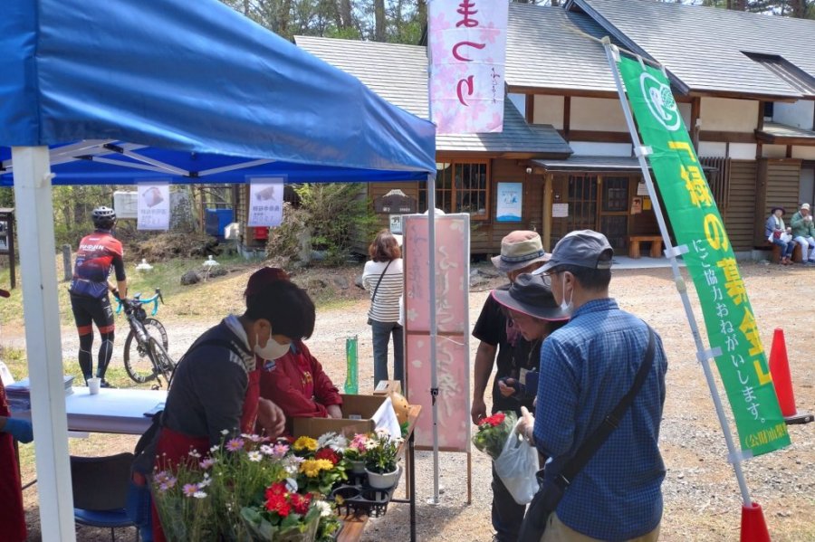 21年開催 ふじざくら祭り 21年4月19日 5月2日 富士吉田のイベント 公式 富士吉田市観光ガイド