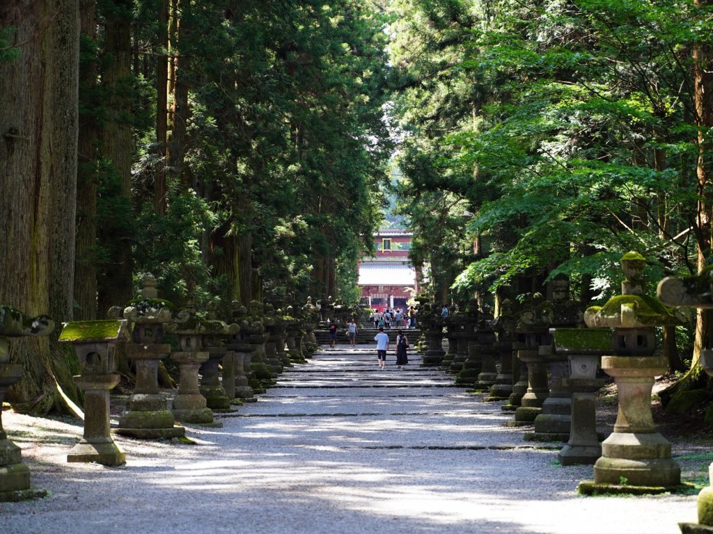 凛とした空気が心地よい 神社巡り