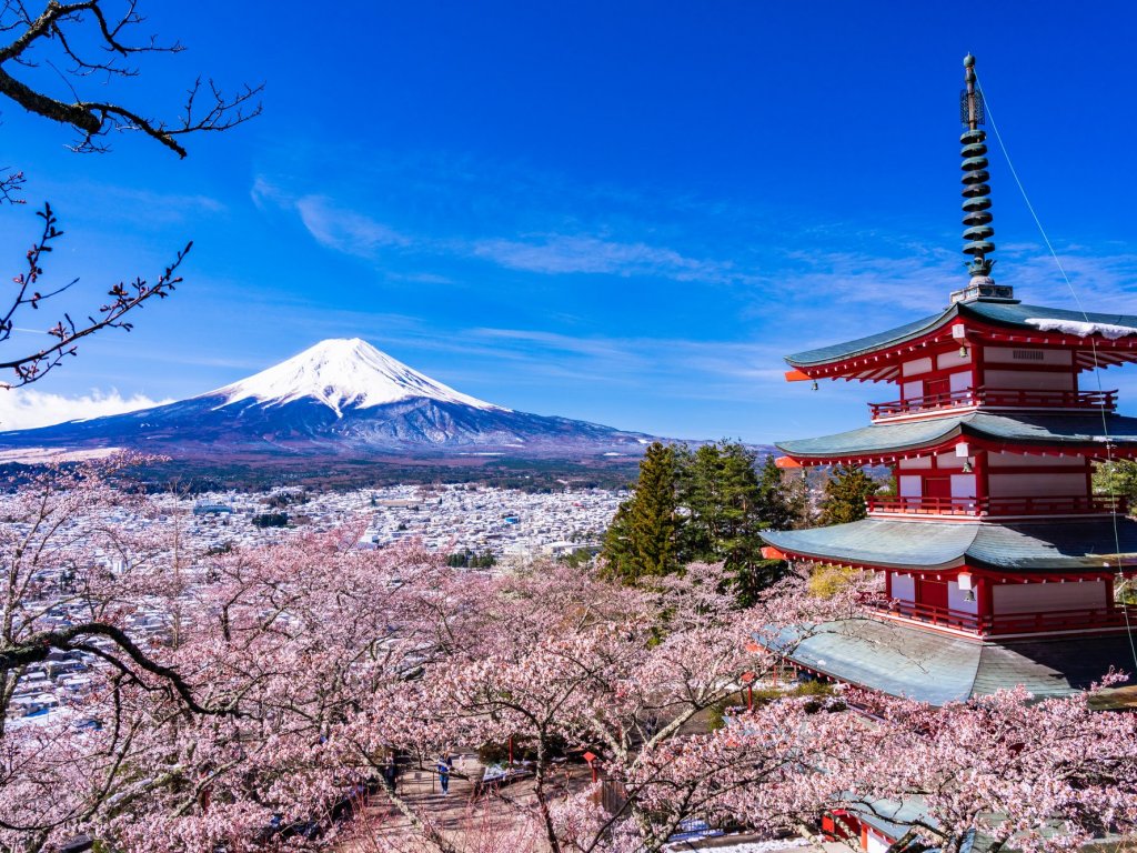 新倉山浅間公園 桜まつり情報