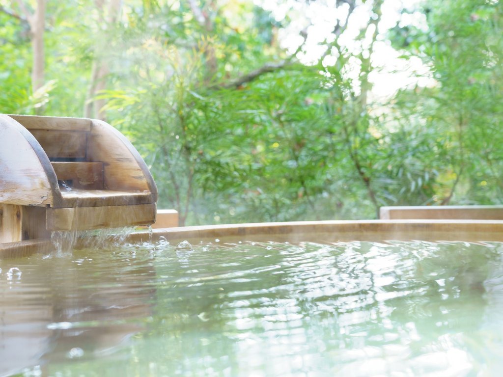 Fujiyama Onsen