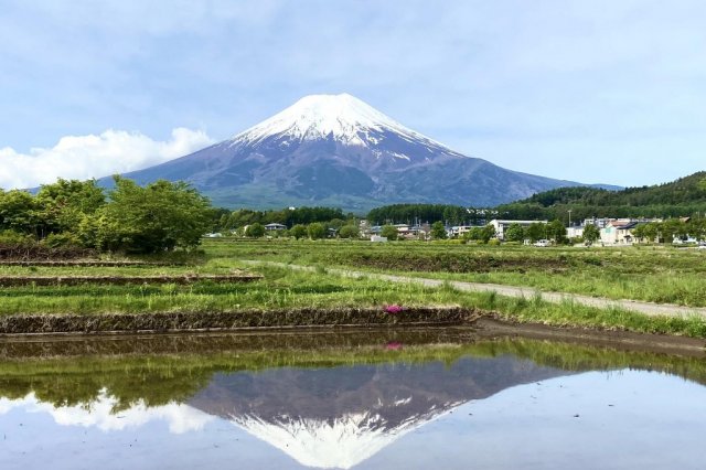 農村公園