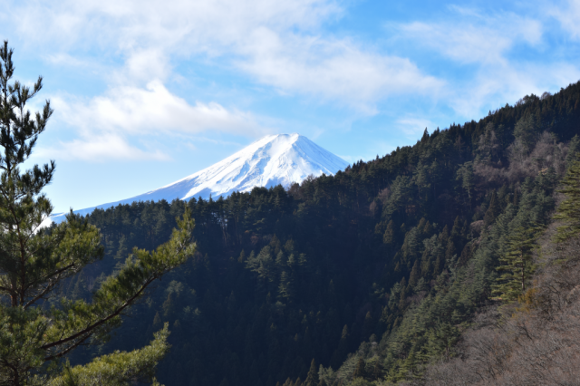 富士見台