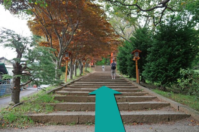 新倉冨士浅間神社　参道