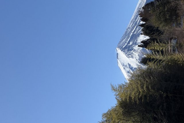 小さな川を渡ると森越しに富士山を堪能できるビュースポット