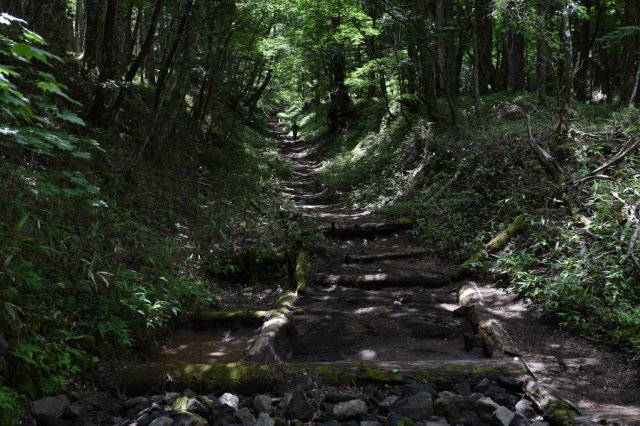 本格的な登山道の始まり