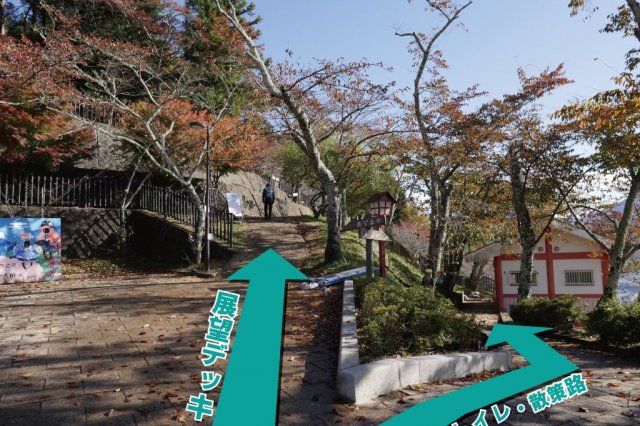 前往展望台