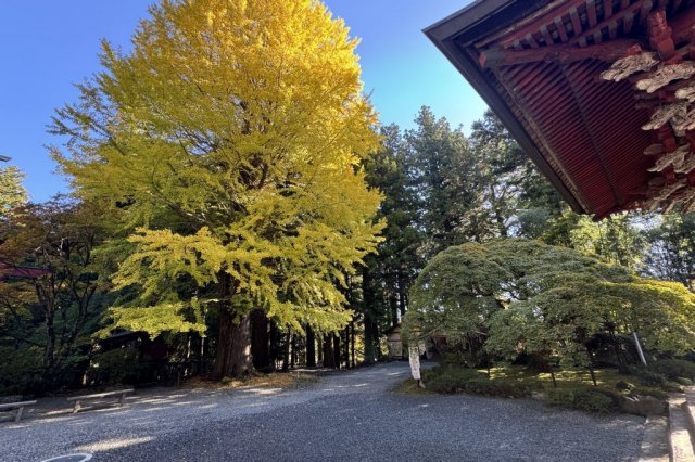 北口本宮冨士浅間神社