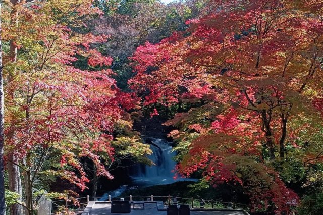 ふじさんミュージアムパーク