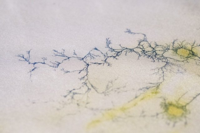 旧山叶「齋藤 帆奈 / Hanna Saito」