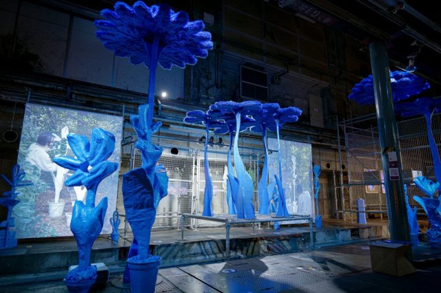 下吉田第一小学校プール「柴田 まお / Mao Shibata」