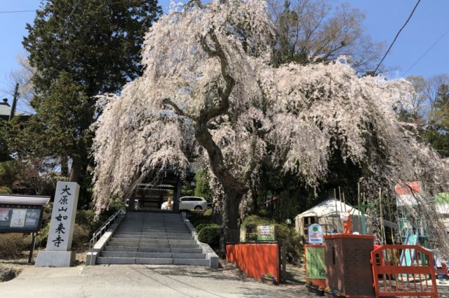 如来寺