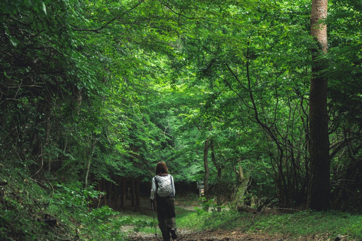 杓子山登山ガイド
