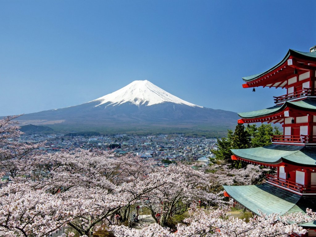 富士吉田の“桜”情報