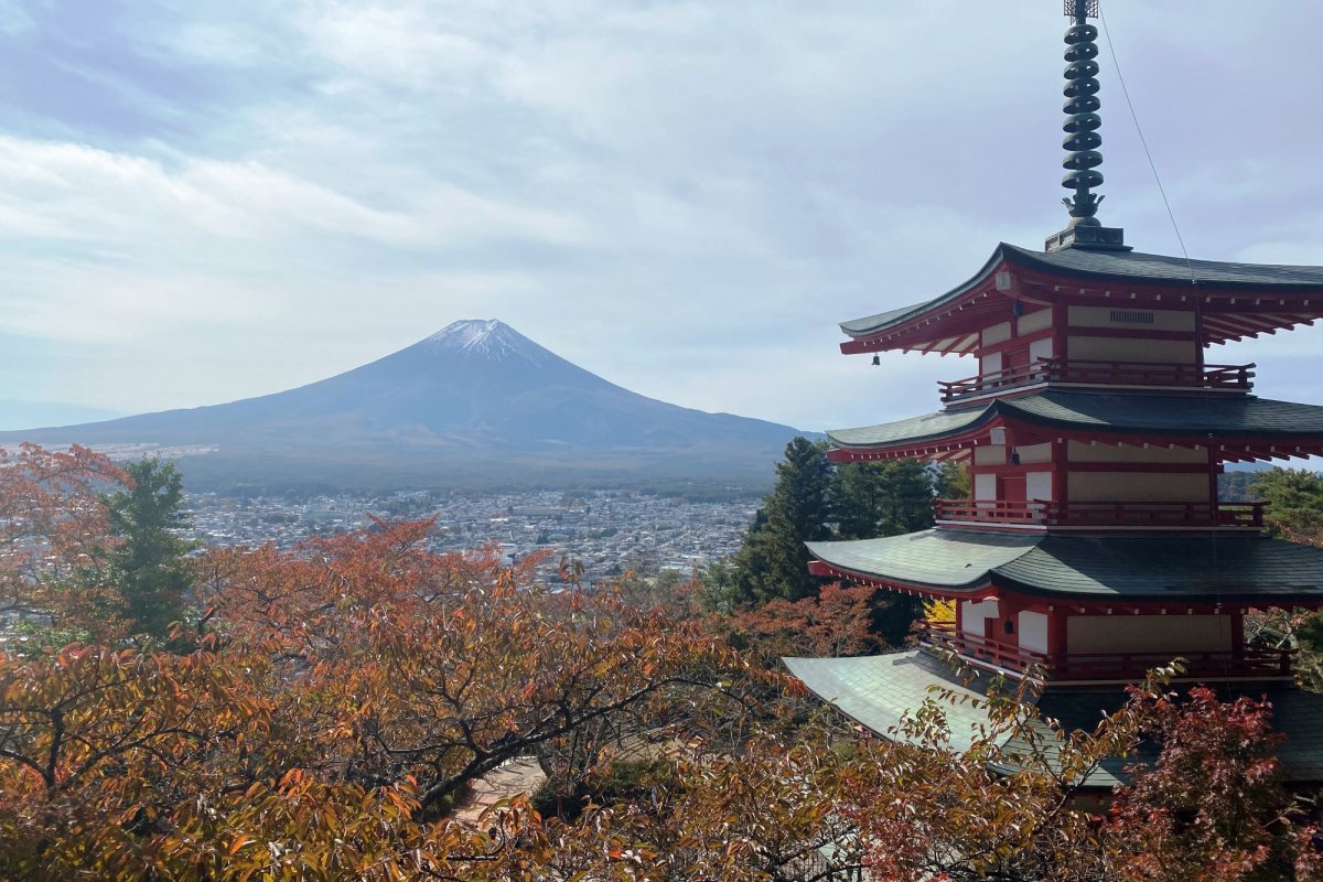 [24年度版] 富士吉田の紅葉情報