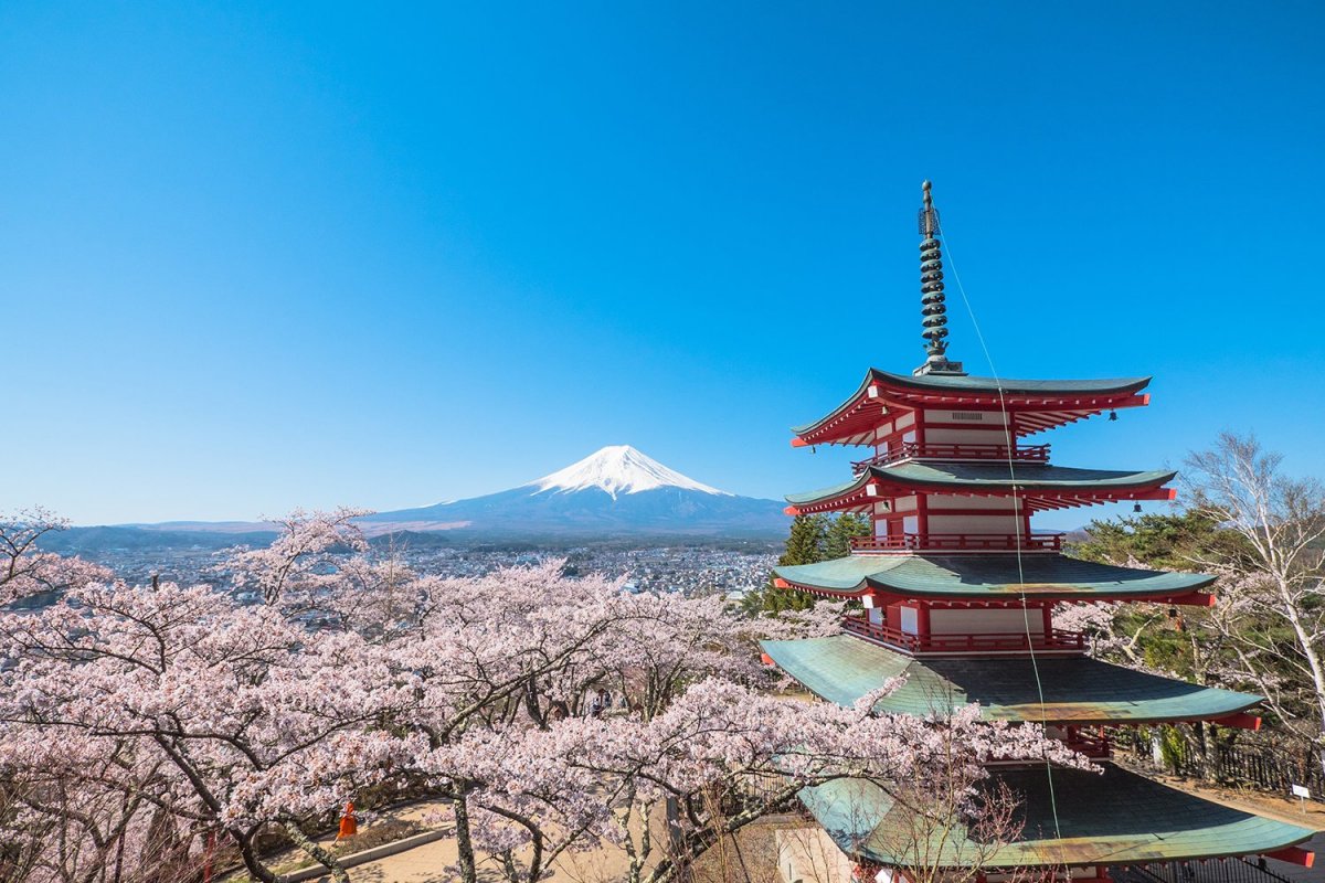 第9回　新倉山浅間公園　桜まつり情報