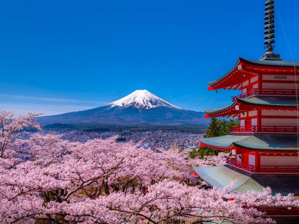 新倉山浅間公園桜の開花期 駐車場・交通規制 情報