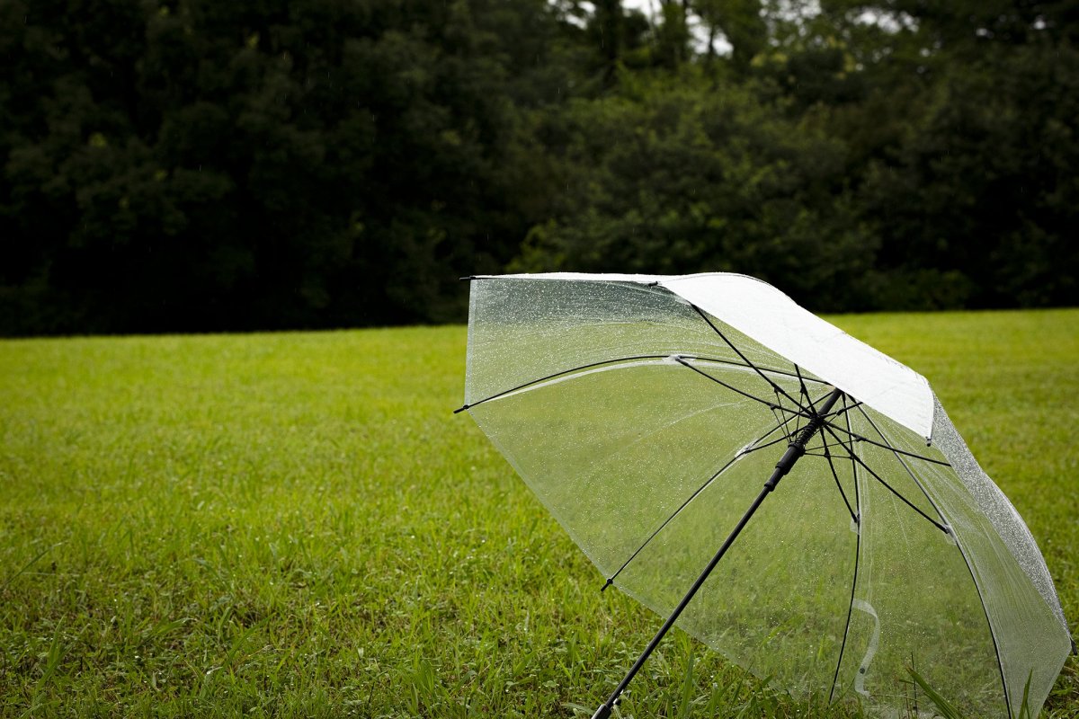 雨の日でも楽しめるおすすめスポットをご紹介！