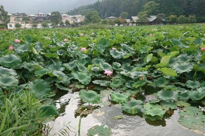 釣りデッキから2