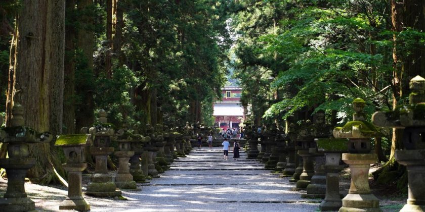 北口本宮冨士浅間神社の参道